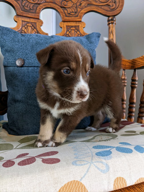 Finley