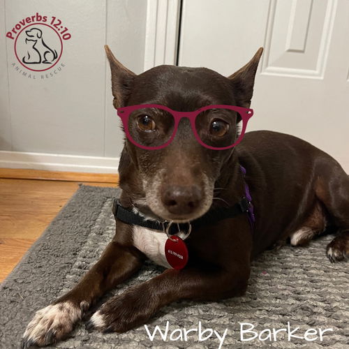 Warby Barker