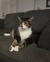 Oscar