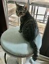 Max
