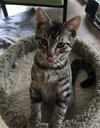Max