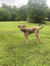 Mason