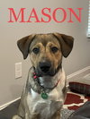 Mason