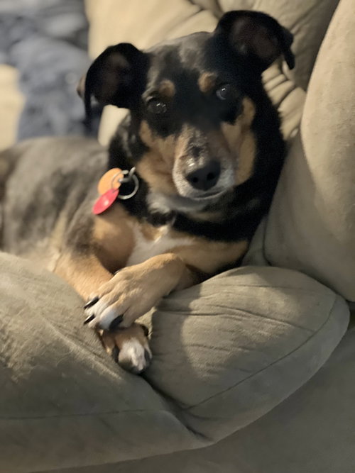 Charlie