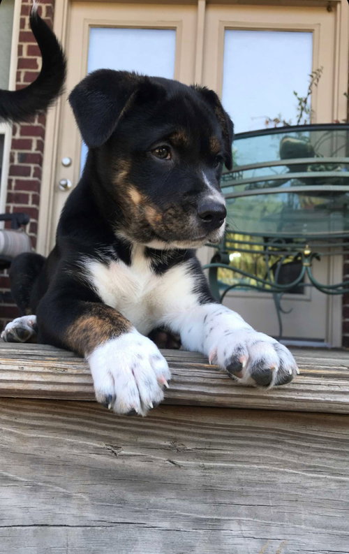Kevin