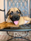 Rowlf