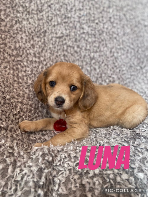 Luna