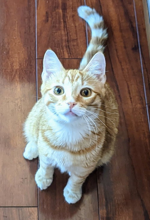 Hudson