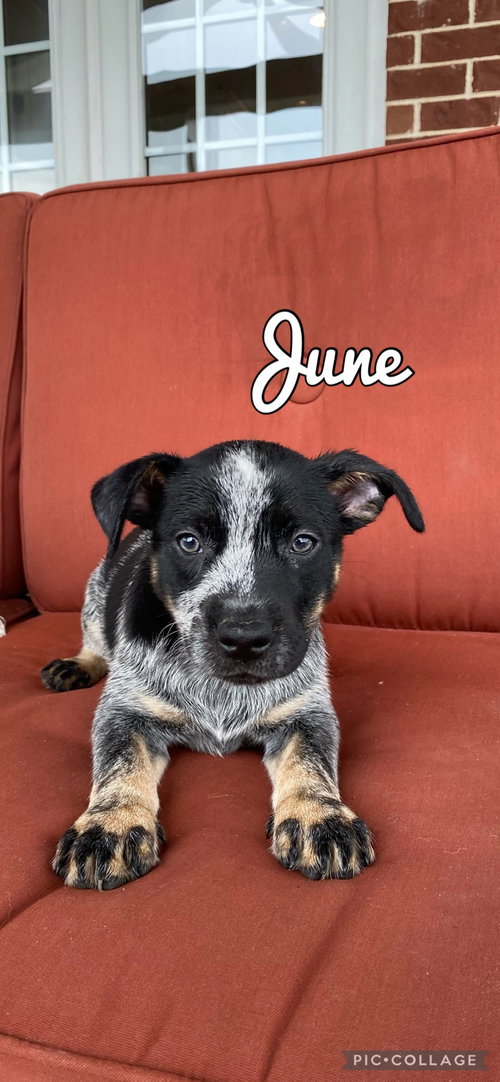 June