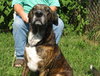 Roscoe