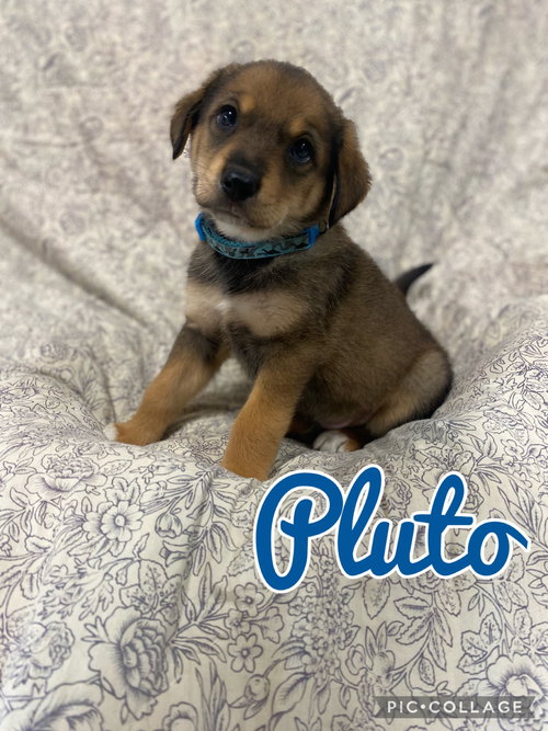 Pluto