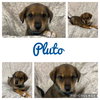 Pluto