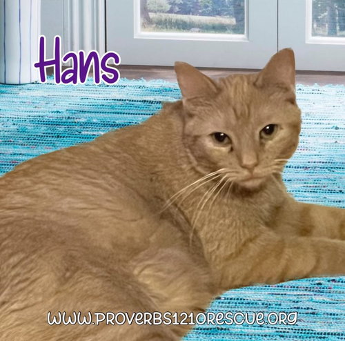 Hans
