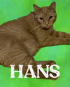 Hans