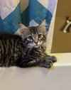 Kristoff