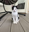 Marley