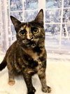 Lillian