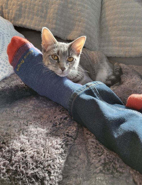 Mimi