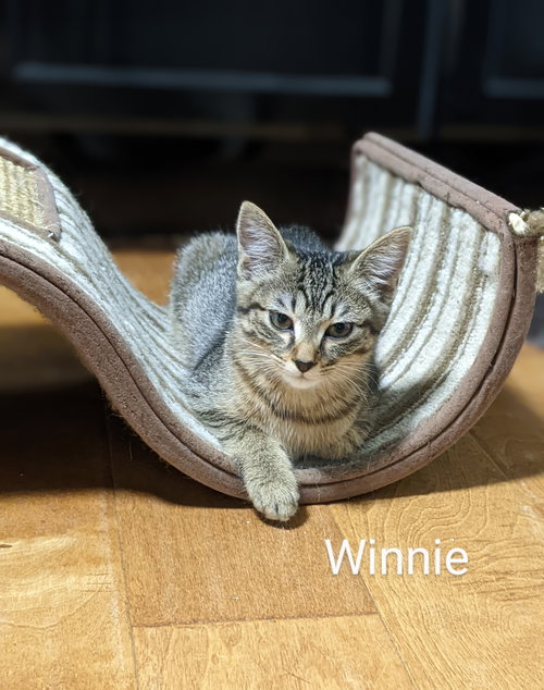 Winnie