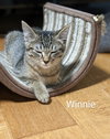 Winnie