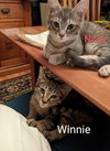 Winnie