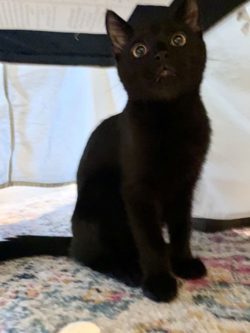 Edmund