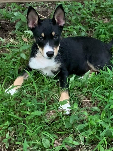 Matilda
