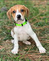 Fiona