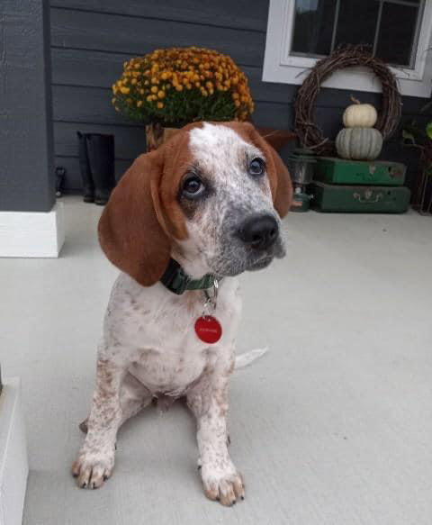 Fergus