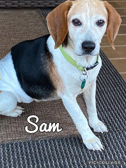 Sam