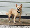 Tanny