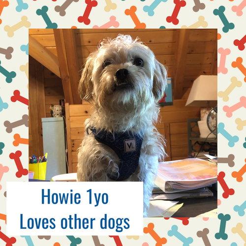 Howie
