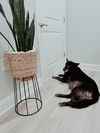 Eleanor