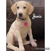 Maggie