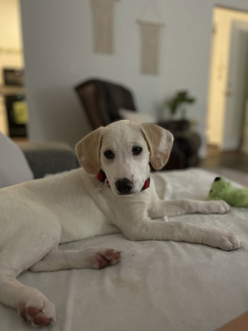 Maggie
