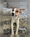 Huck