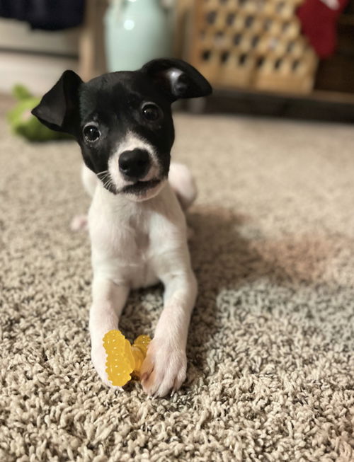Adalynn