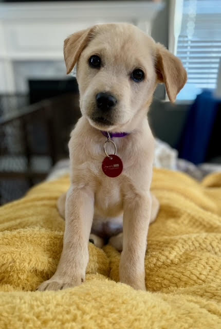 Barkley