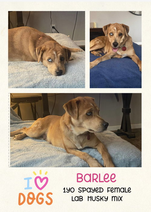 Barlee