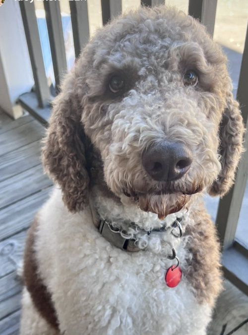 Max