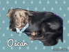 Oscar