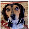 Roscoe