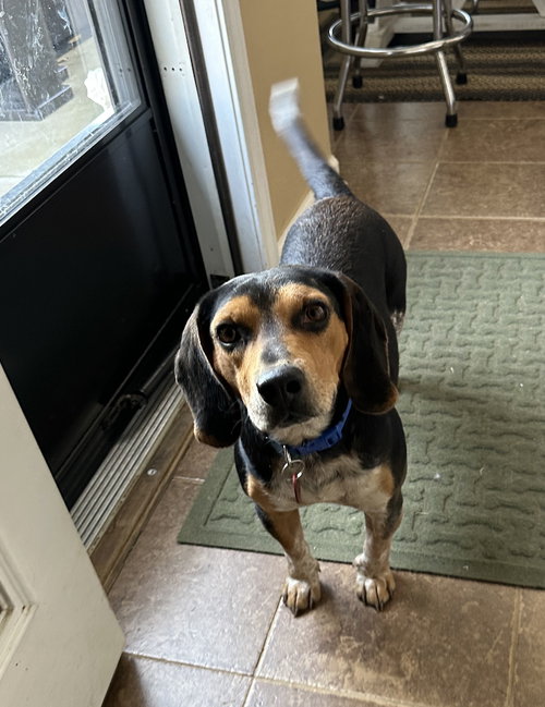Roscoe