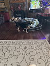 Roscoe