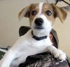 Ben