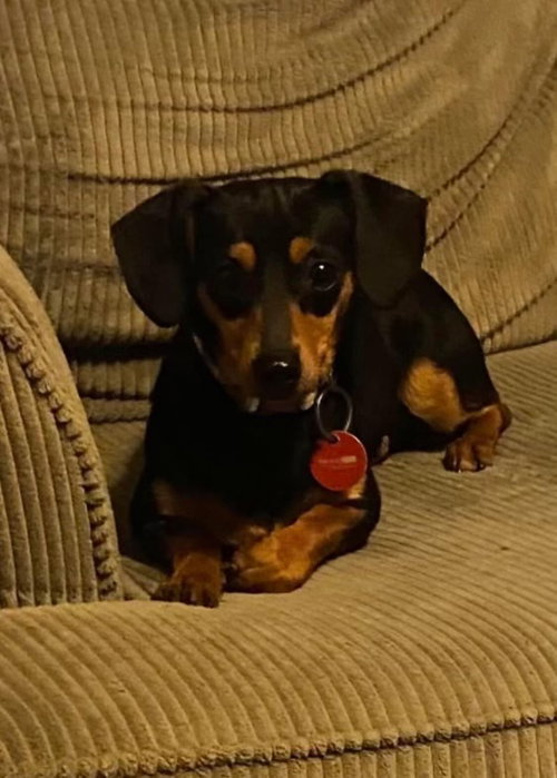 Tilly