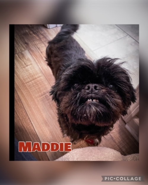 Maddie