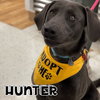 Hunter
