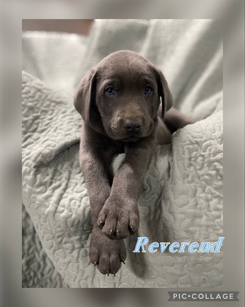 Reverend Clyde