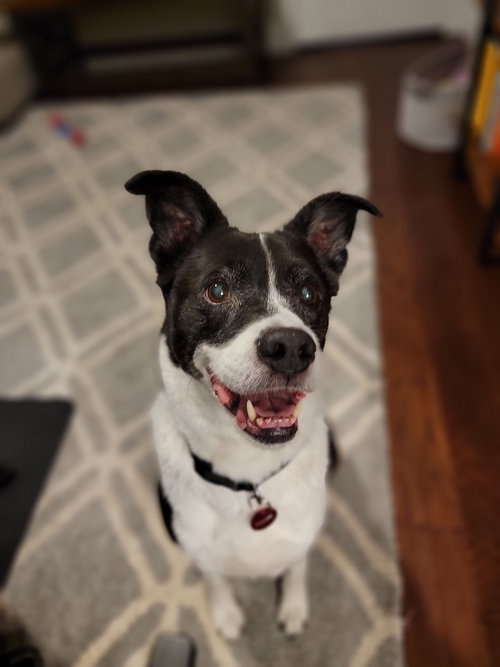 Coco